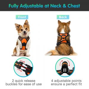 Image of an adjustable harness. link to purchase on amazon
