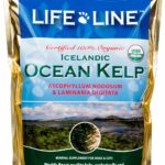 Link to purchase Ocean Kelp