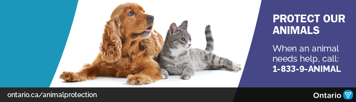 Protect our Animal banner with dog and cat lying down. When an animal needs help call 1-833-Animal