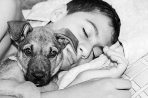 What To Expect Your First Night With Your Rescue Dog