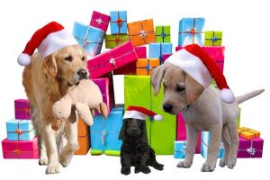Gift Ideas For Dogs and Dog Lovers