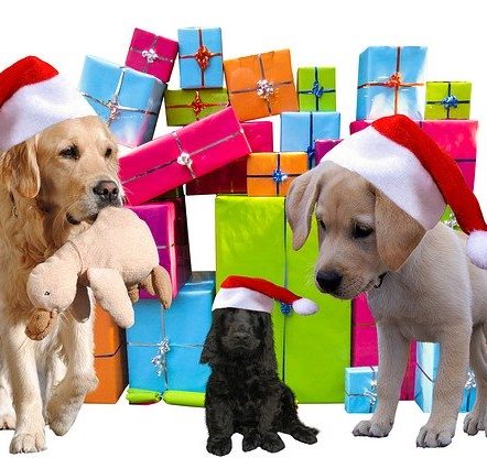 Dogs Gifts