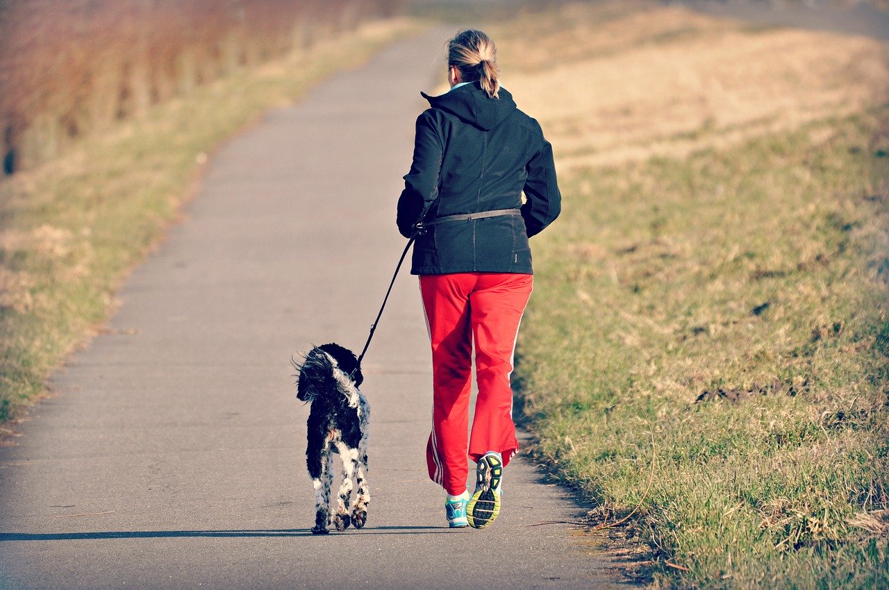 Person and Dog Walking