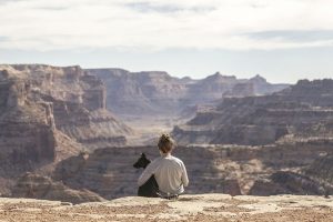 Traveling With Your Pet