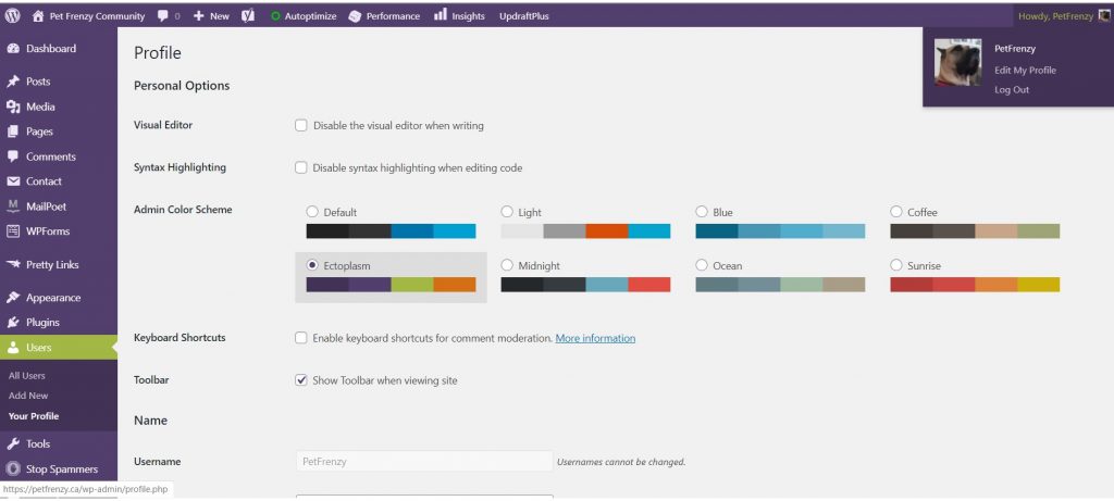 Profile Settings In WP