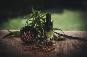 CBD Oil