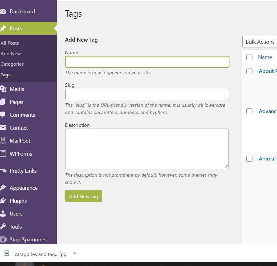 setting up tags in WordPress