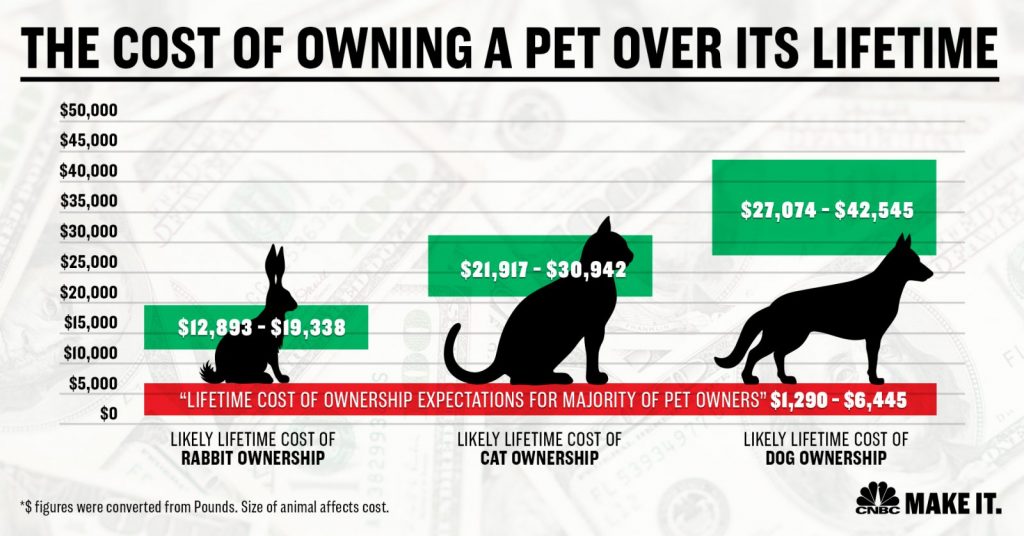 The cost of owning a dog is 42k and up the. Cost for a cat is 30 k and up. CNBC Make it poster