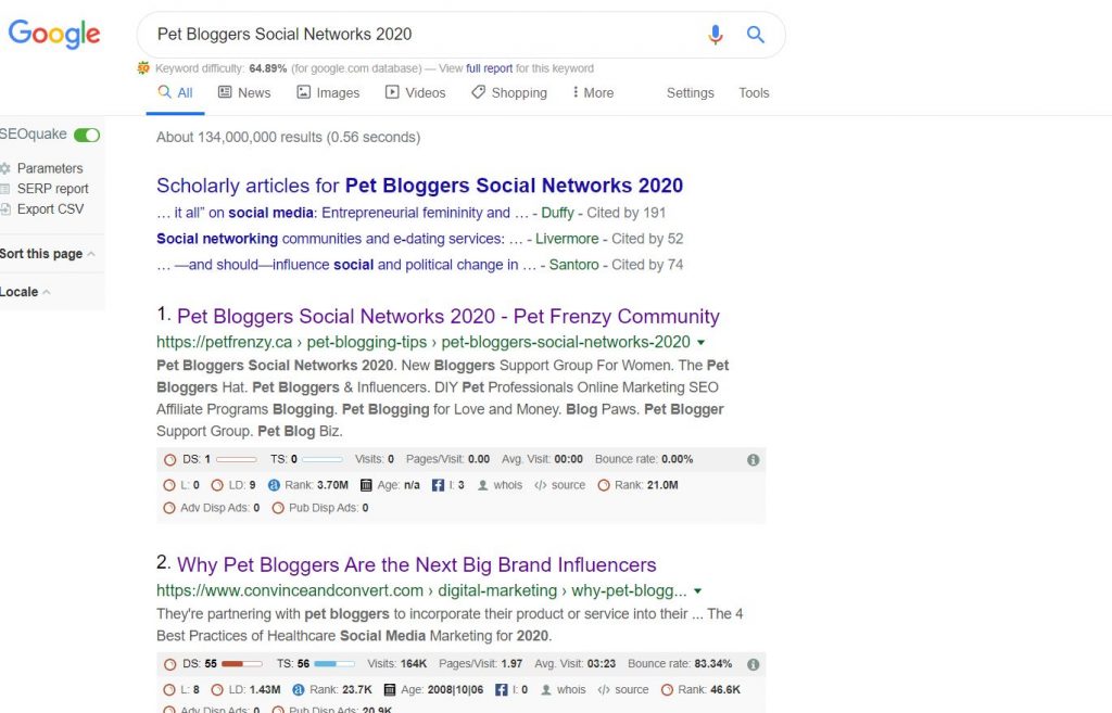 My first top ranked post on google for my pet blogging journey 2020