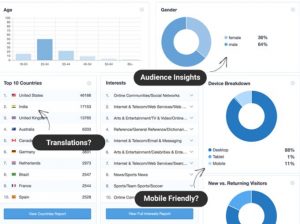 Monster-insights dashboard