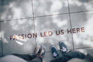 Pet Bloggers Journey 2020
