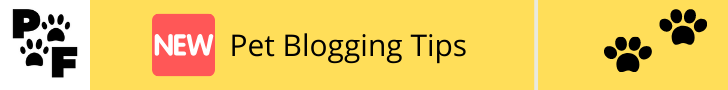blogging tip banner