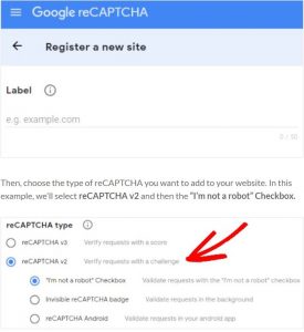 Choosing the reCaptcha with Google