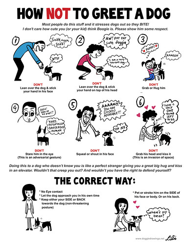 Info-graphic on how not to greet a dog and how to greet a dog. Image created by Lili Kim