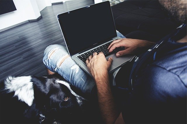 Dog with human on laptop looking bored