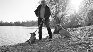 a man with two dogs and a jealous look on one dog 