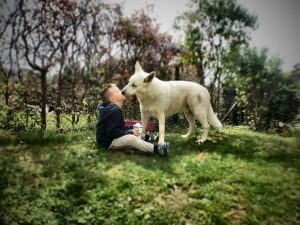 Dog licking a child's face