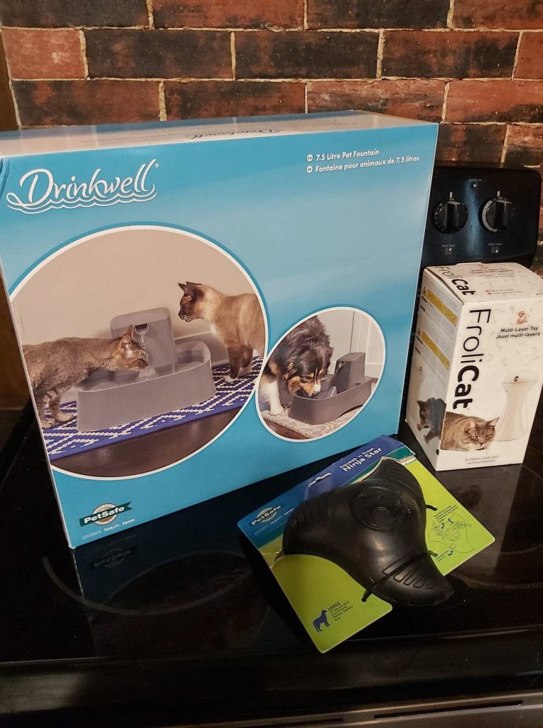 drinkwell pet fountain canada