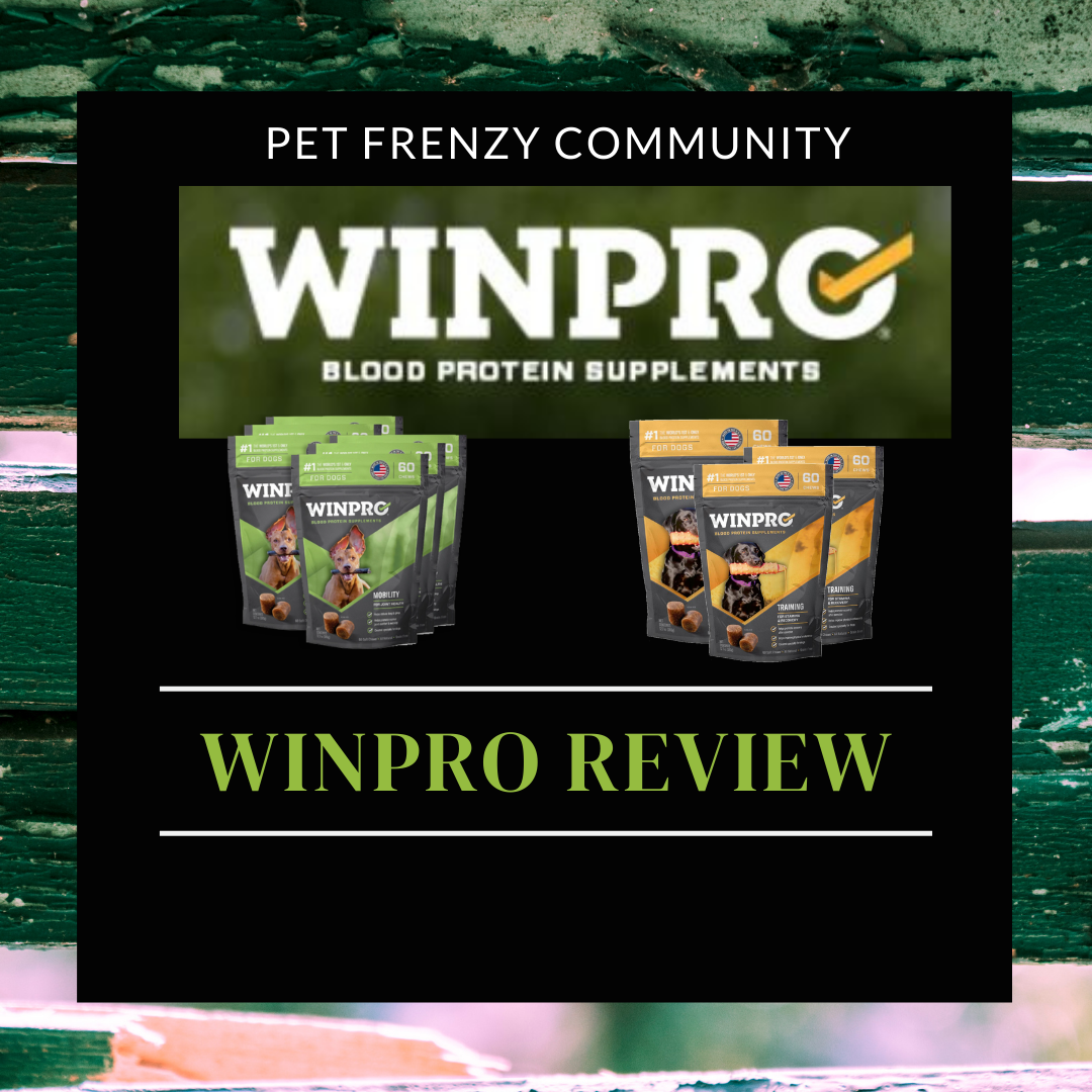 winpro blood protein supplements