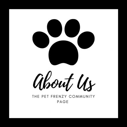 About the Pet Frenzy Community Page
