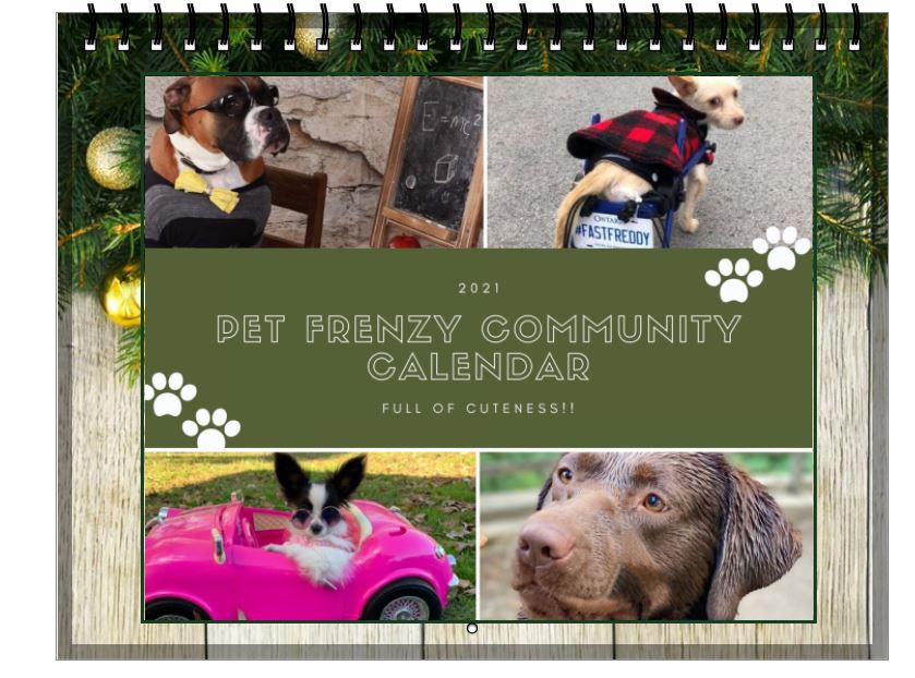 Pet Frenzy 2021 Dog Calendar