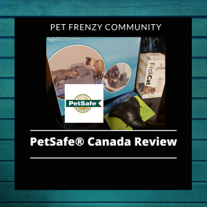 PetSafe® Canada Toys For Your Cat And Dog