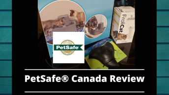 Pet safe toy review