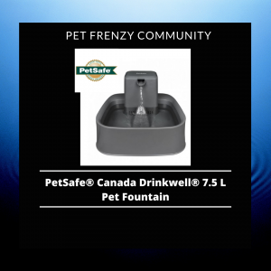 Review on PetSafe Canada Drinkwell 7.5 L Pet Fountain