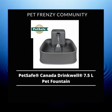 Pet Safe Review on Water fountain for pets