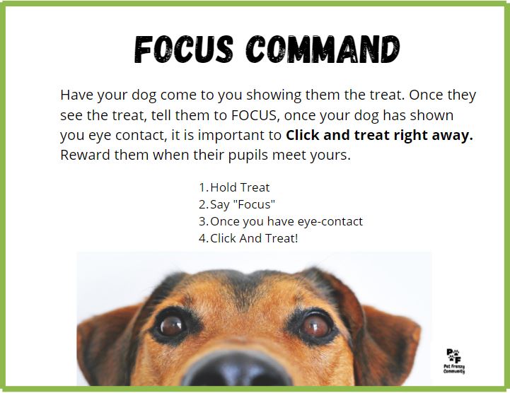 Focus command 