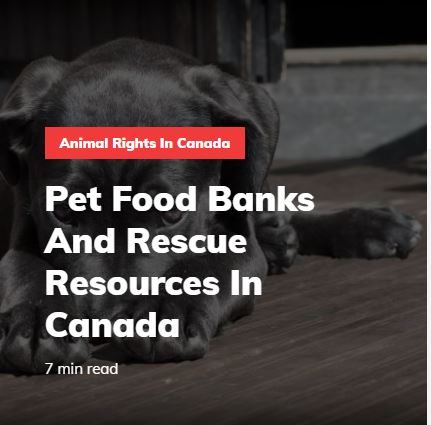 Pet Food Banks in Canada- Pet Blogger Journey most shared post