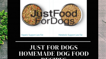 just for dogs homemade dog food cover