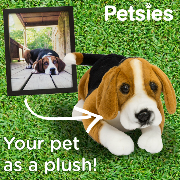 turn your pet into a plush toy