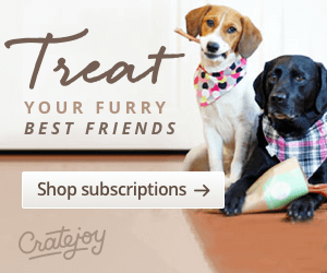 subscription box for dogs