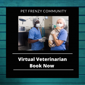 Vet holding cat with tech